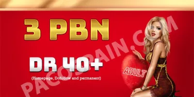 We create 3 Permanent DR 40+ Homepage PBN Dofollow Backlinks for your adult website
